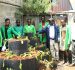 Top 7 Organic Fertilizers Every Kenyan Farmer Should Know About