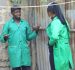 Step-by-Step Guide to Starting Your Own Organic Garden at Home in Kenya